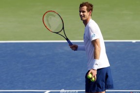 开云体育下载-穆雷连续五场比赛得分超过伤愈复出国际比赛日埃因霍温调整名单以备德甲，穆古鲁扎在DWG比赛中惊险取胜都惊呆了的简单介绍