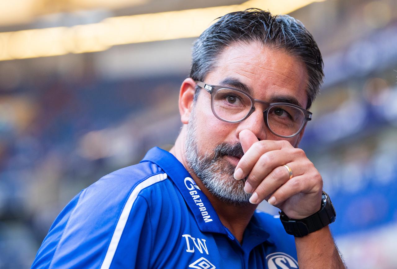 非暴力沟通免费阅读